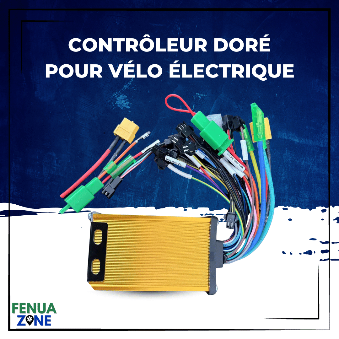 Contrôleur Doré - Vélo Électrique